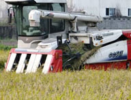 banner4.jpg