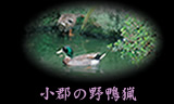 top_pic03.jpg
