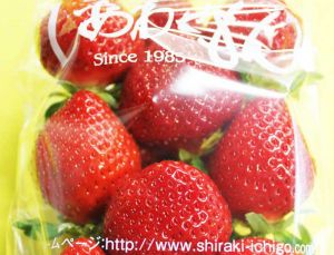 ichigo-pack3-23.jpg