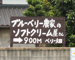 softcream2.jpg